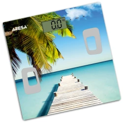 Bathroom scales AR-4409
