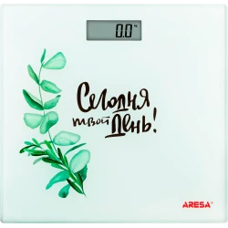 Bathroom scales AR-4413